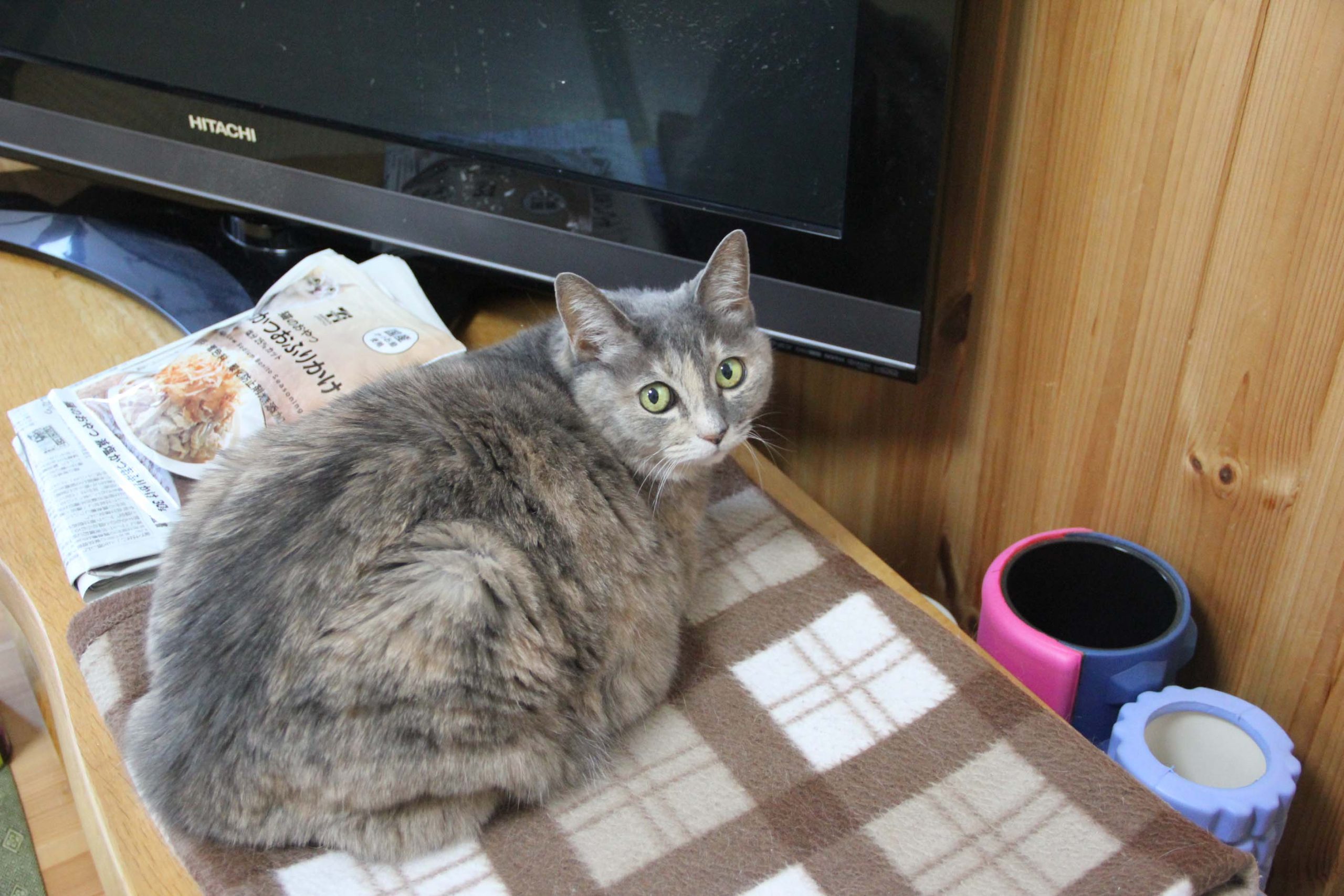 上尾市でペリアートによる多彩色模様の外壁塗装