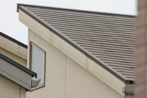 蓮田市のA様へ屋根塗装と外壁塗装の見積説明