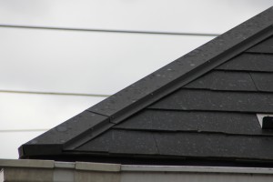 伊奈町のY様に屋根塗装と外壁塗装、ベランダ防水トップの見積説明