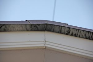 伊奈町のW様邸で屋根塗装、外壁塗装、コーキング打替とベランダ防水トップコートの工事が始まります