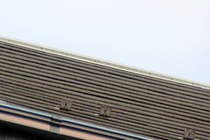 さいたま市桜区のK様へ屋根塗装と外壁塗装の見積説明