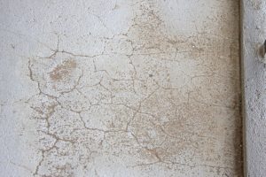 さいたま市中央区のN様よりマンションの防水の見積ご依頼