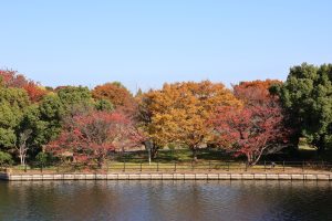 さいたま市南区の彩湖でスキーのトレーニング
