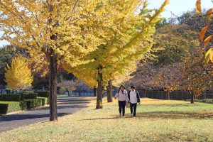 さいたま市見沼区の市営霊園へ墓参り