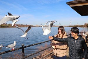 さいたま市南区から戸田市にまたがる彩湖を散歩