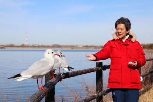 さいたま市南区から戸田市にまたがる彩湖を散歩