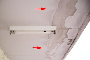 さいたま市見沼区のK様より賃貸マンションの外壁塗装など大規模修繕の見積依頼